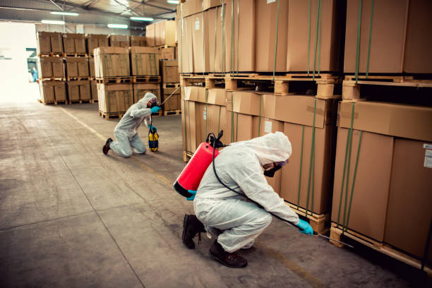 Best Pest Inspection Near Me  in Mequon, WI