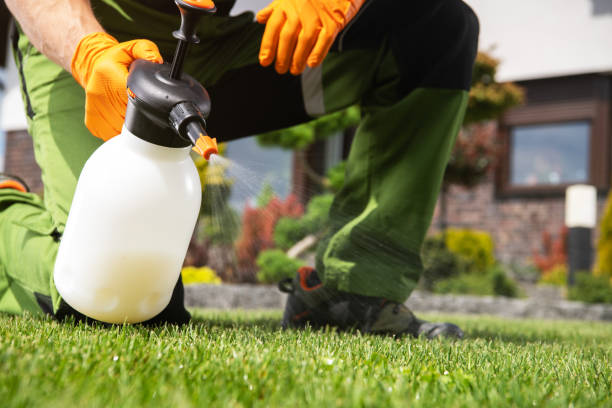 Best Residential Pest Control  in Mequon, WI
