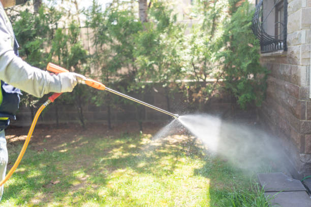 Best Emergency Pest Control  in Mequon, WI