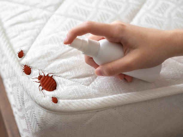 Best Affordable Pest Control Services  in Mequon, WI