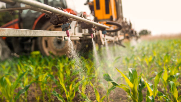 Best Wildlife Control Services  in Mequon, WI