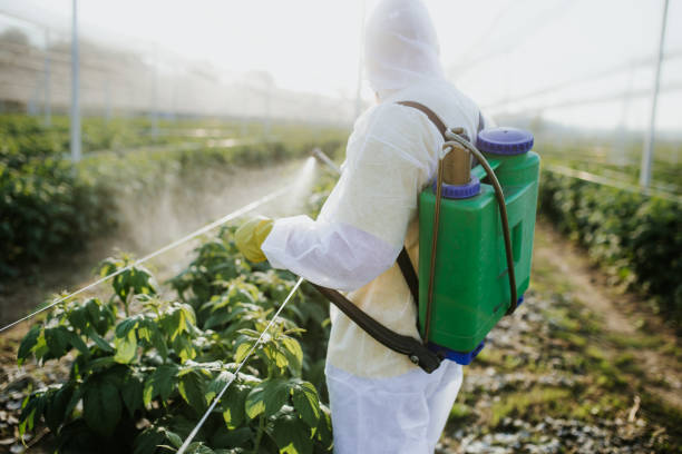 Best Affordable Pest Control Services  in Mequon, WI